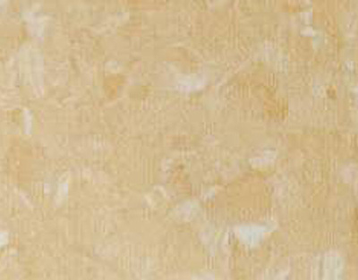 布莱顿-优博系列5