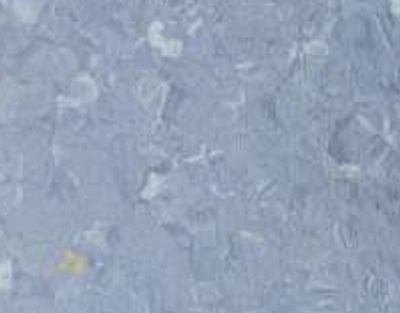 布莱顿-优诺系列1