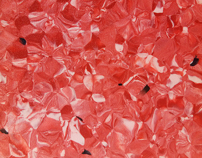 1021同质透心塑胶地板无方向珠穆朗玛系列