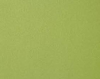 布莱顿-优彩系列4