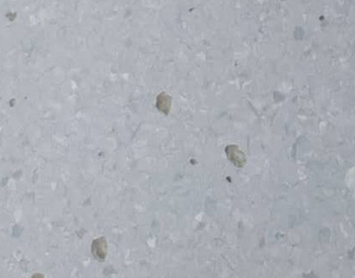 布莱顿-优瑞系列7