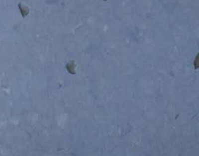 布莱顿-优瑞系列8