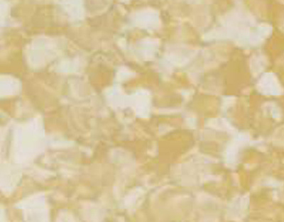 布莱顿-优瑞系列5