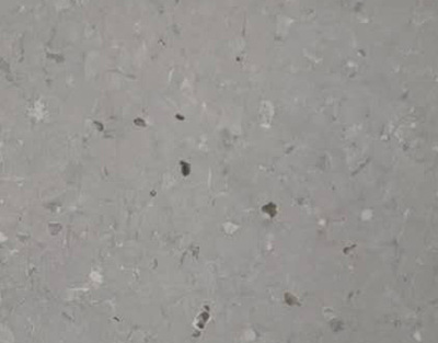 布莱顿-优瑞系列6