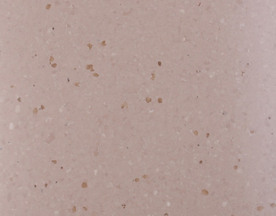 LS-阿尔泰系列02