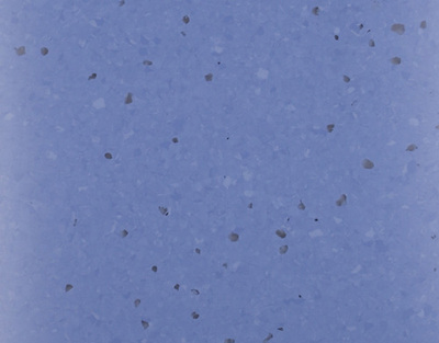 LS-阿尔泰系列06