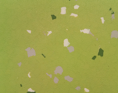 LS-阿尔泰系列05