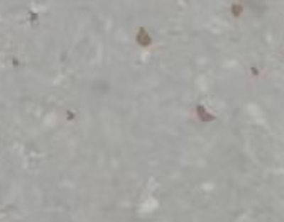 英伦龙-爱尔兰系列3