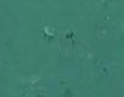 英伦龙-伯明翰系列2